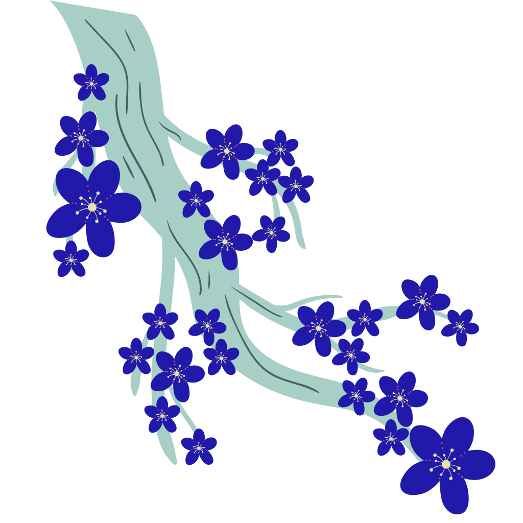 accompagnement artistes accompagnement artistes en tournée vhr vhr tournée